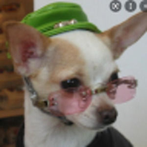 Meet your Posher, Matea